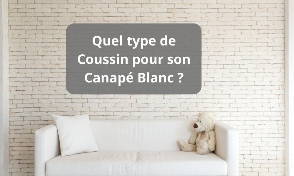 Quel type de Coussin pour son Canapé Blanc ?