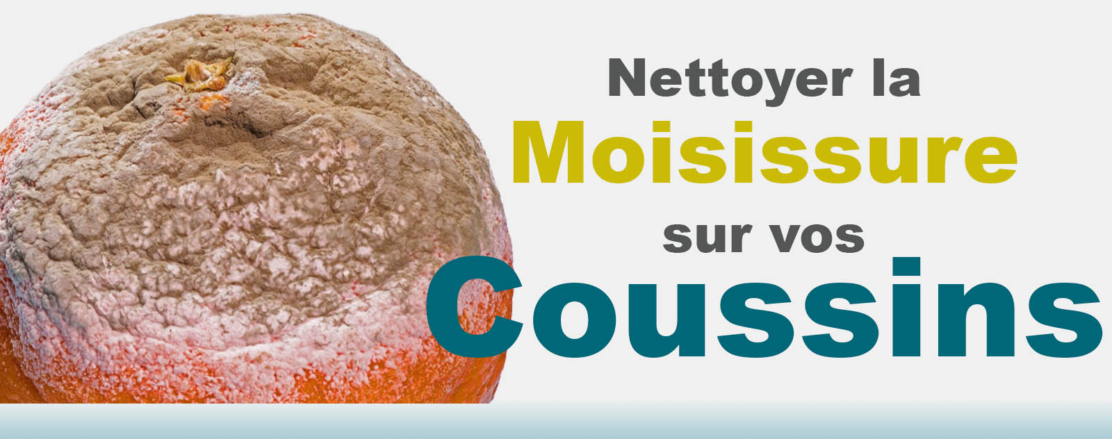 comment nettoyer la moisissure sur un coussin
