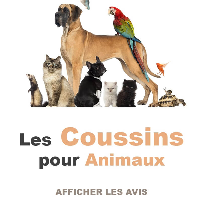 les coussin pour animaux
