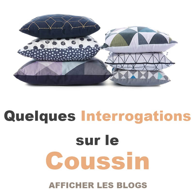 quelques interrogations sur le coussin