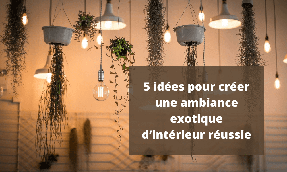 5 idées pour créer une ambiance exotique d’intérieur réussie