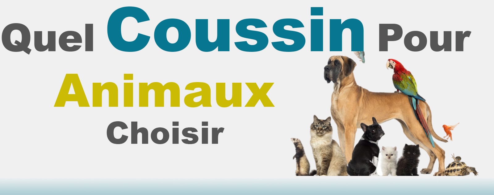 quel coussin pour animaux choisir