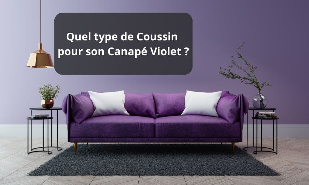Quel type de Coussin pour son Canapé Violet ?