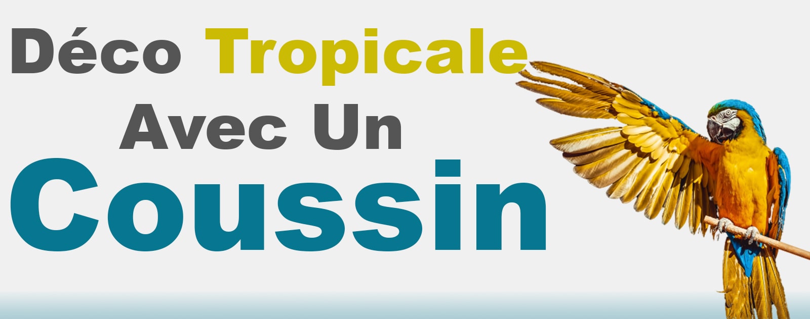 Deco Tropical Avec Un Coussin