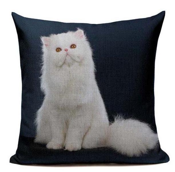 Coussin Avec Chat Dessus