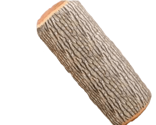 Coussin Buche De Bois