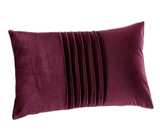 Coussin Canapé 30x50