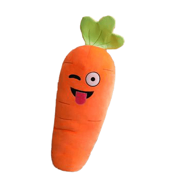 Coussin Carotte