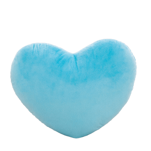 Coussin Coeur Bleu