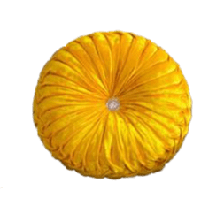 Coussin De Sol Moutarde