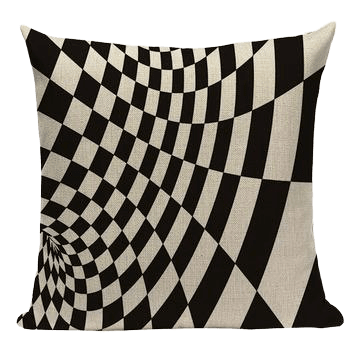Coussin Déco Salon Noir Et Blanc