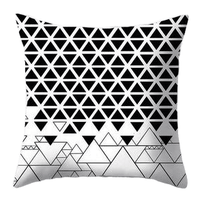 Coussin Décoratif Design