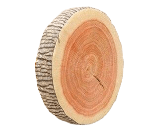 Coussin Imitation Bois