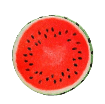 Coussin Pastèque