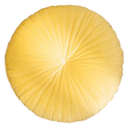 Coussin Rond Velours Jaune