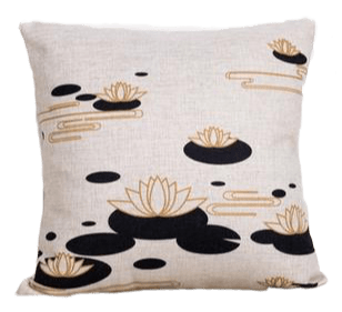 Coussin Salon Intérieur