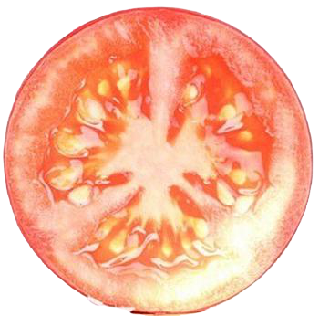 Coussin Tomate