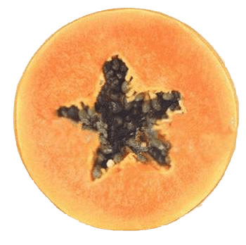 Coussin Tranche De Fruit