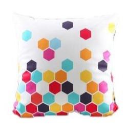 Coussin Velours Coloré