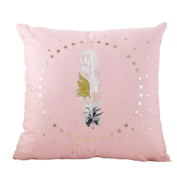Coussin Velours Corail