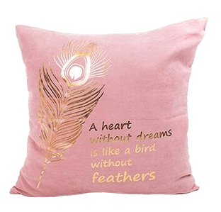 Coussin Velours De Coton