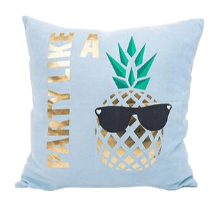 Coussin Velours Exotique