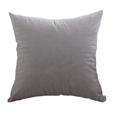 Coussin Velours Gris 60x60