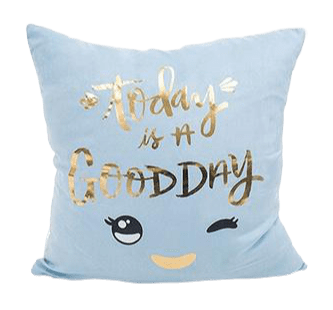 Coussin Velours Lavé