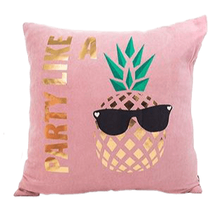 Coussin Velours Maison De Vacances