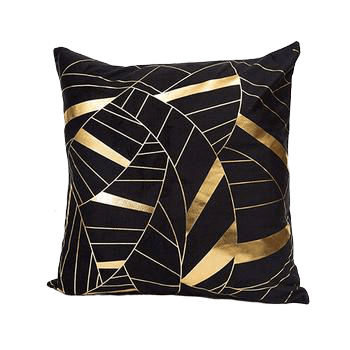 Coussin Velours Noir Chic