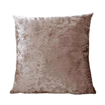 Coussin Velours Pas Cher