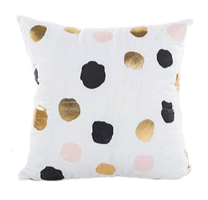 Coussin Velours Passepoil