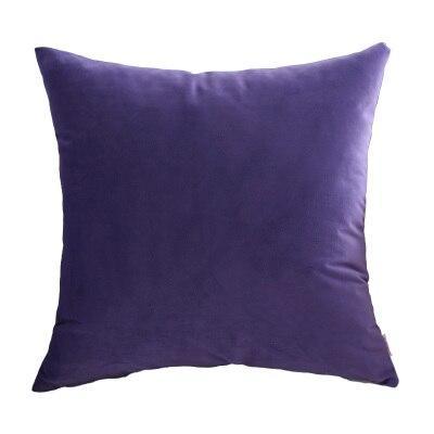 Coussin Velours Prune