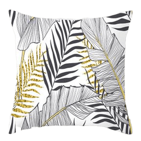 Coussins Décoration d'Intérieur