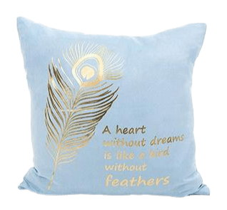 Housse De Coussin Velours 45x45