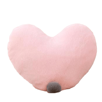 Oreiller En Forme De Coeur